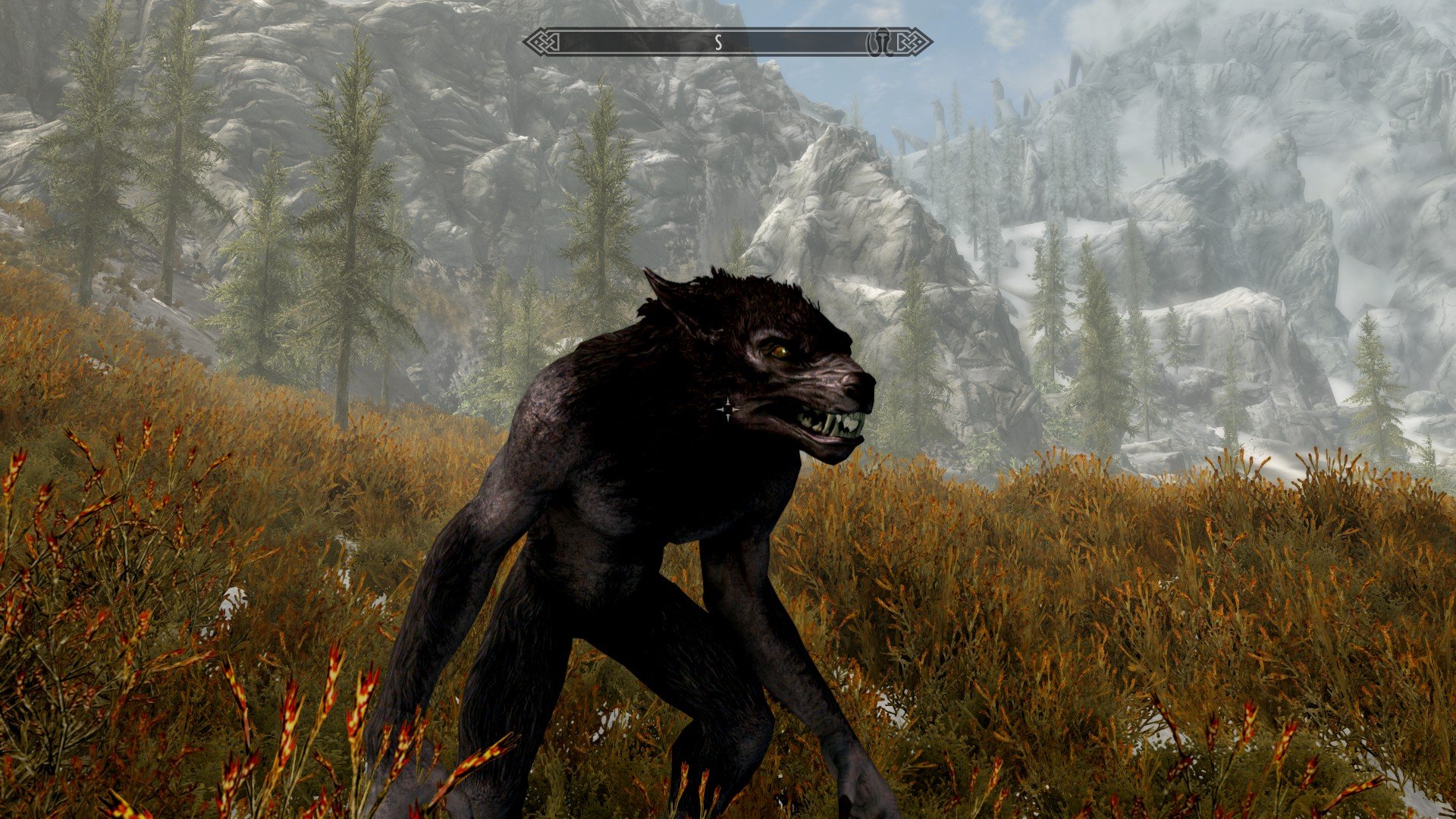 The Elder Scrolls V: Skyrim - Lycanthropy (Werewolf Guide)
