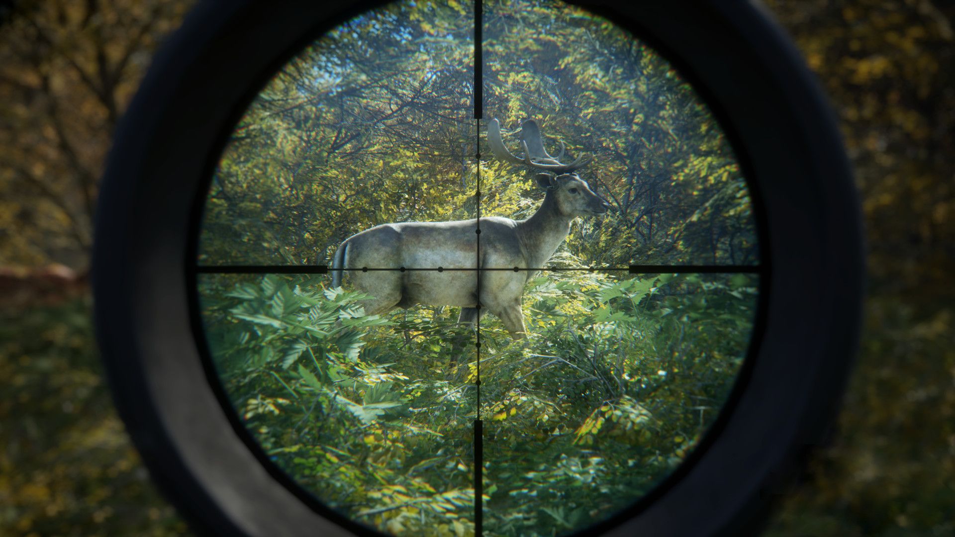 The Hunter: Call of the Wild - Where to Shoot?