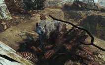 Fallout 4: Far Harbor - Guard Dog Companions Location (Mishka, Gracie, Duke)