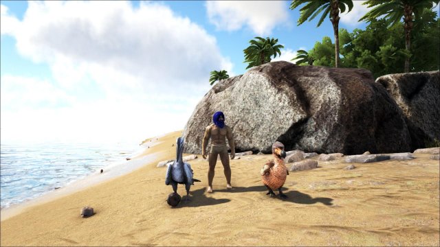 ARK: Survival Evolved - The Ichthyornis: Everything You Want to Know