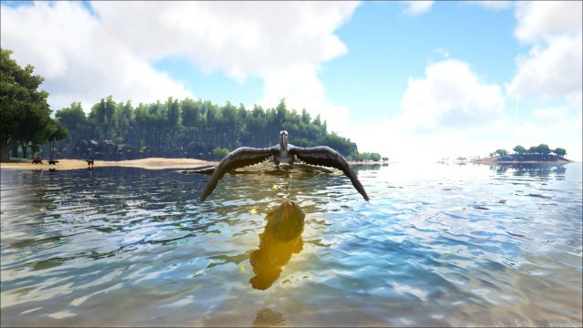 ARK: Survival Evolved - The Ichthyornis: Everything You Want to Know