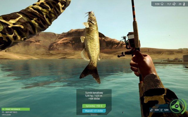 Ultimate Fishing Simulator - Chanel Catfish (How to Catch)