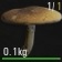 SCUM - Mushroom Guide image 6