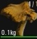 SCUM - Mushroom Guide image 12