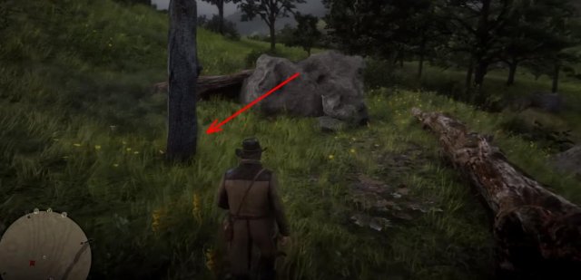 Red Dead Redemption 2 - All Poisonous Trail Treasure Map Locations and Solutions