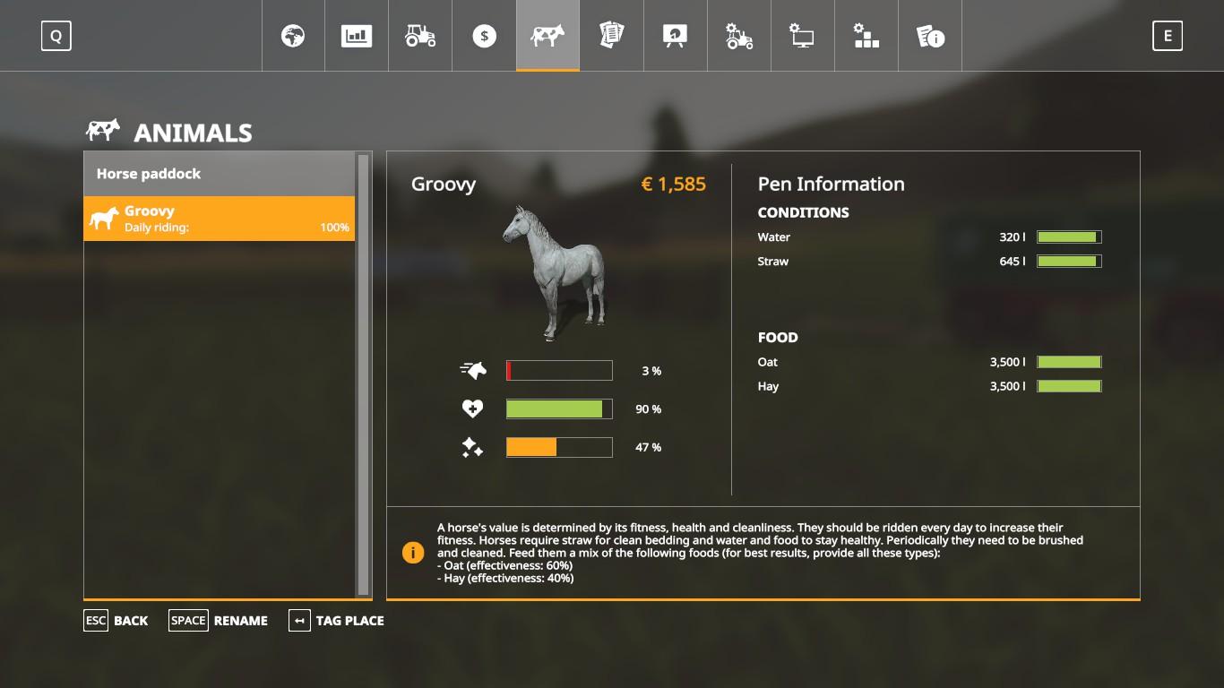 Farming Simulator 19 - Horse Guide