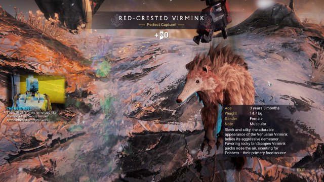 Warframe - Orb Vallis Conservation for Floofs and Profit / Hunting Guide