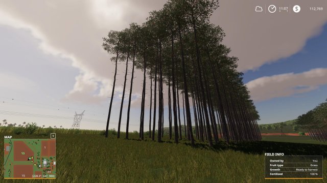 Farming Simulator 19 - Tree Growth Stages from Start to Finish
