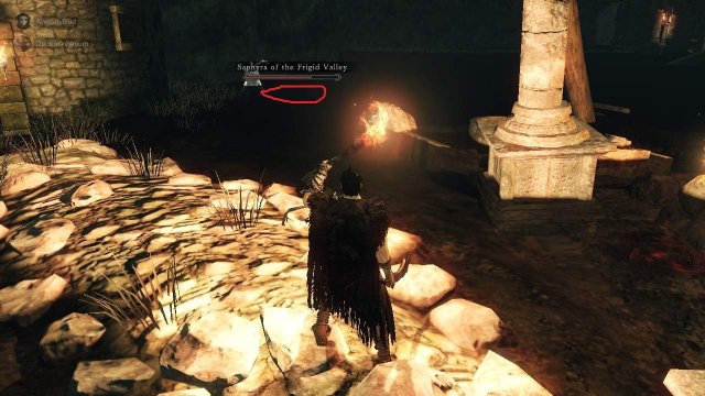 Dark Souls II: Scholar of the First Sin - All Invisible Hollows Locations image 81