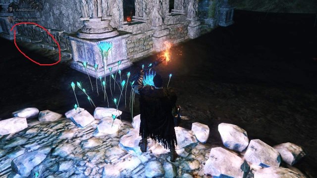 Dark Souls II: Scholar of the First Sin - All Invisible Hollows Locations image 76