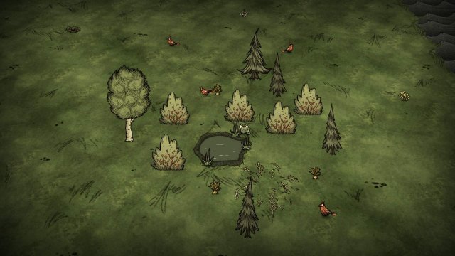 Don't Starve Together - Detailed Biome Guide / Forest