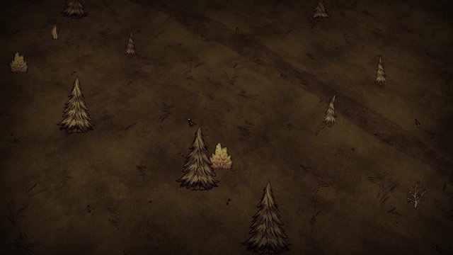 Don't Starve Together - Detailed Biome Guide / Forest