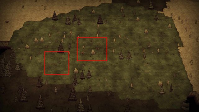 Don't Starve Together - Detailed Biome Guide / Forest