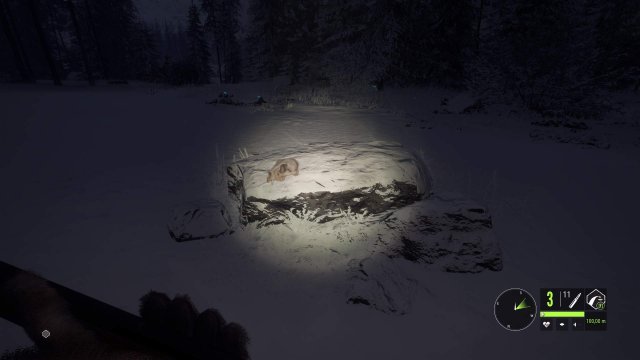 The Hunter: Call of the Wild - Secret Finds (Medved Taiga National Park)