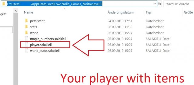 Noita - How to Save Your Actual Seed and Backup Your Savegames