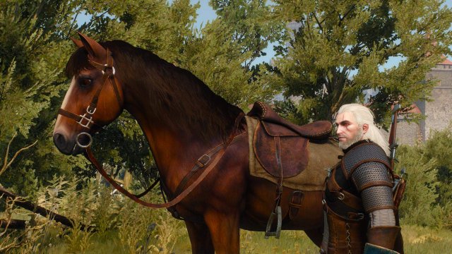 The Witcher 3: Wild Hunt - Useful Tips and Tricks image 25