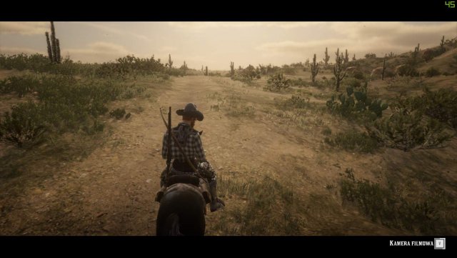 Red Dead Redemption 2 - How to Enable Autopilot (Red Dead Online) image 7