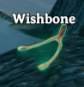 wishbone valheim